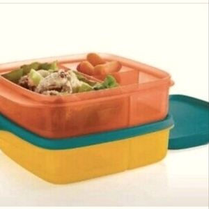 Tupperware | Kitchen | Tupperware Lunch It Containers | Poshmark